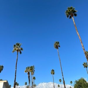 Meet your Posher, Bea